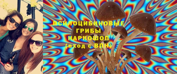 хмурый Зеленодольск