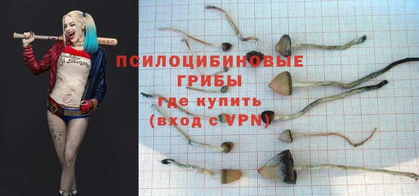 скорость Зеленокумск