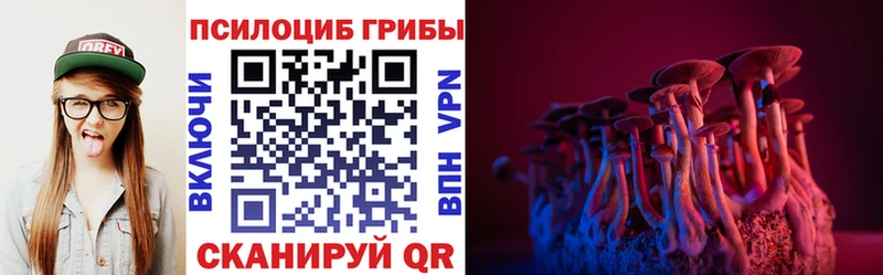 МЕГА вход  Тбилисская  Галлюциногенные грибы Psilocybine cubensis  купить наркотик 